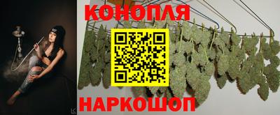 мет Шелехов